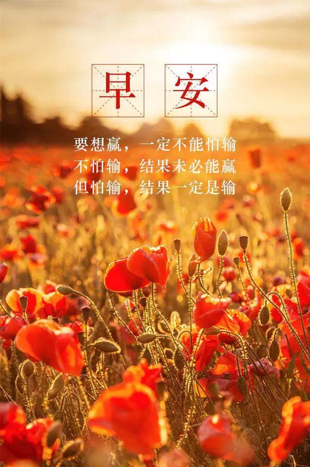 「2022.05.02」早安心语，正能量文案语录 奋斗不止早上好经典语录