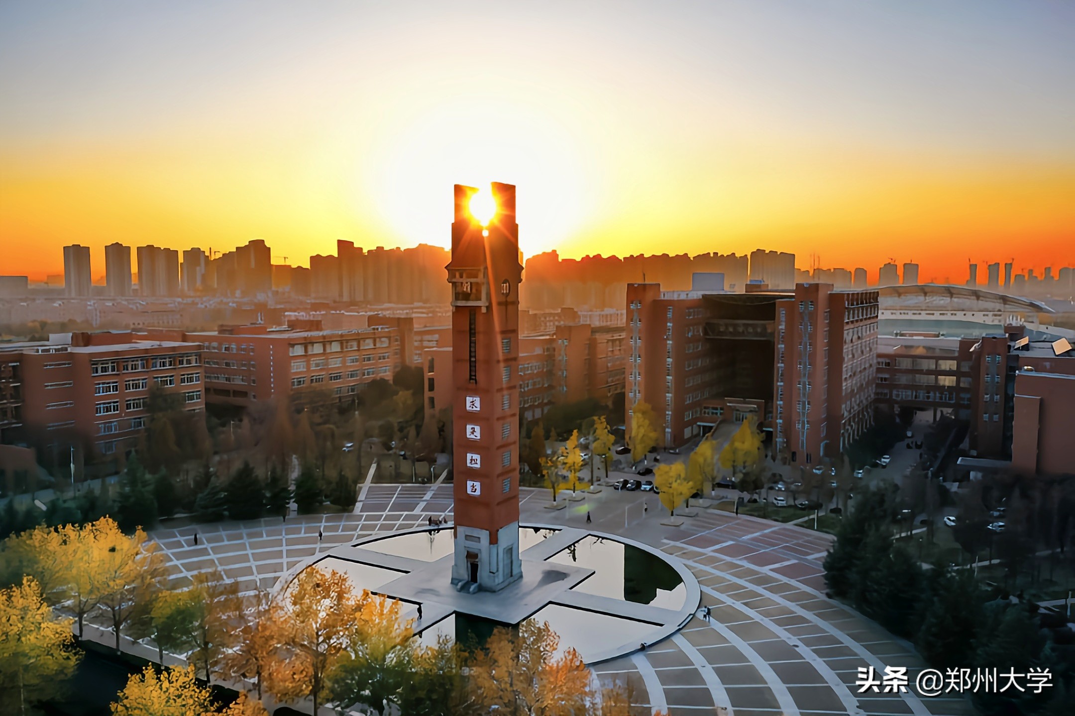 在流行语中看郑大