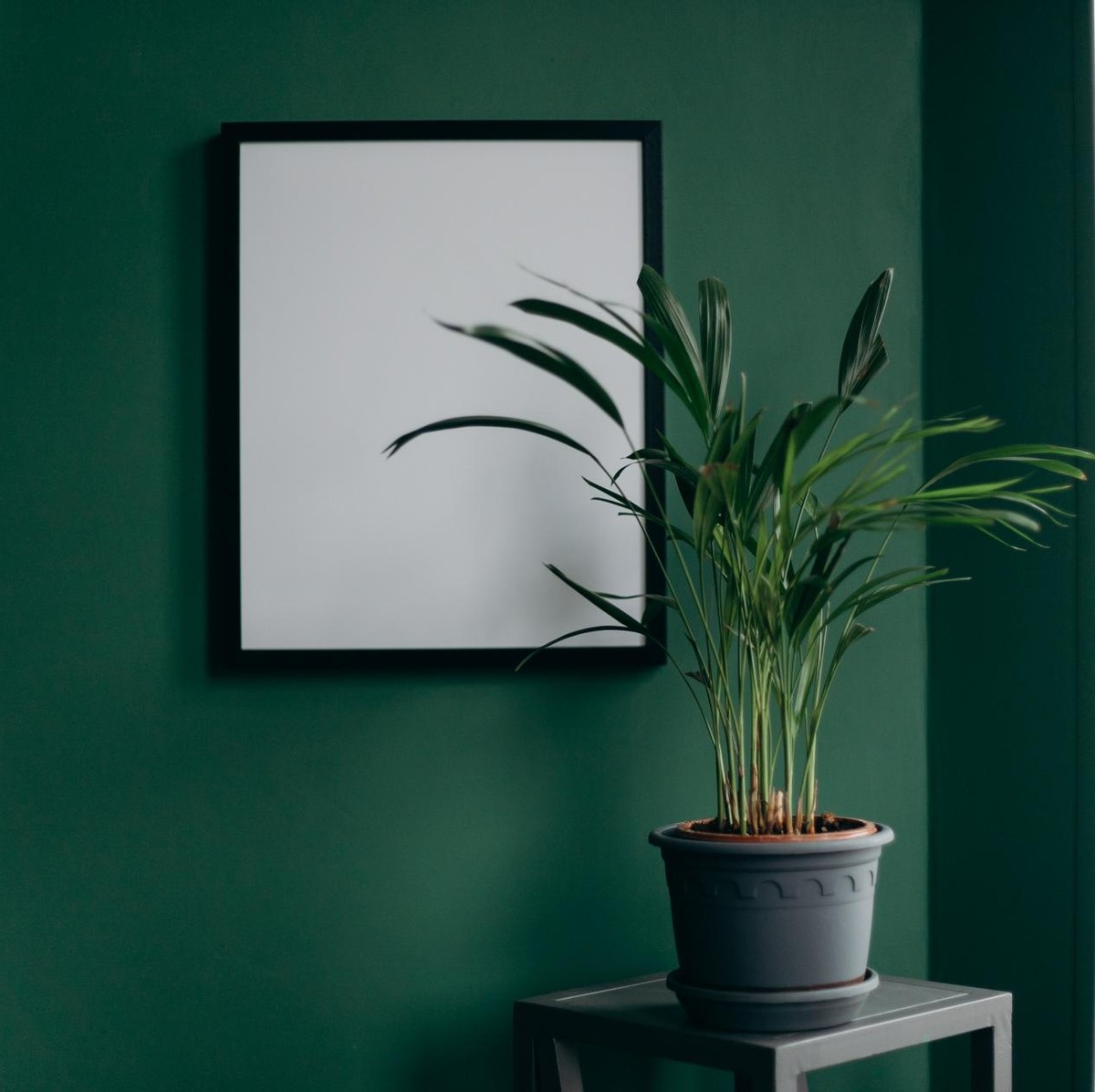 主城213㎡天际大平层，样板间开放倒计时