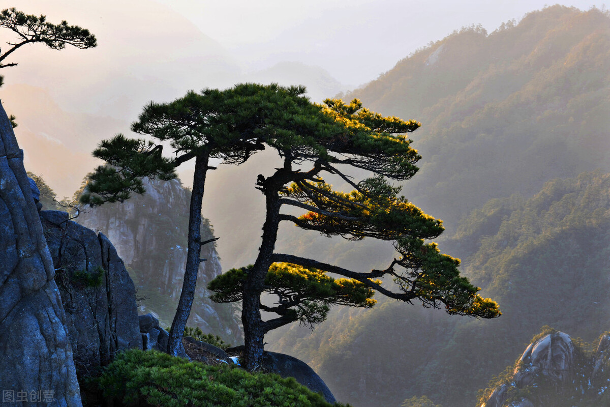 美术统考235/文化390能报考哪些大学？解密这20省综合分计算方法