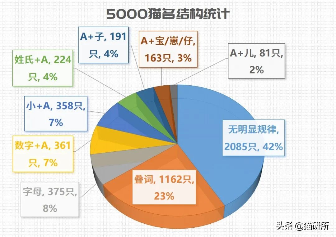 爆肝统计5000个猫名，让所有人都笑死在这些沙雕名字里