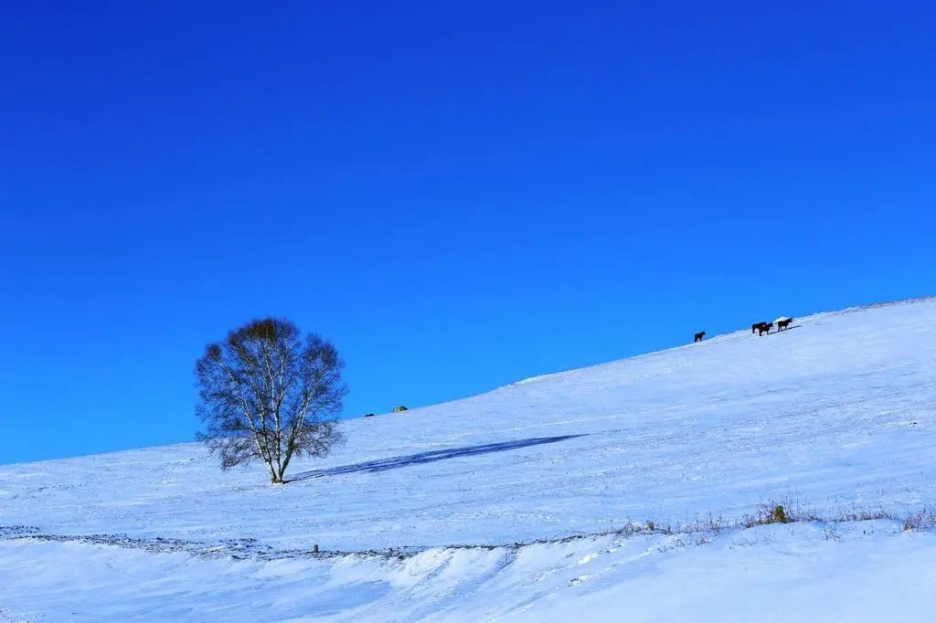 塞北风卷千层雪，万里寒云锁孤城