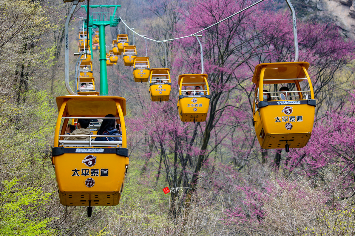 太平国家森林公园（推荐旅游景点人间最美四月天）