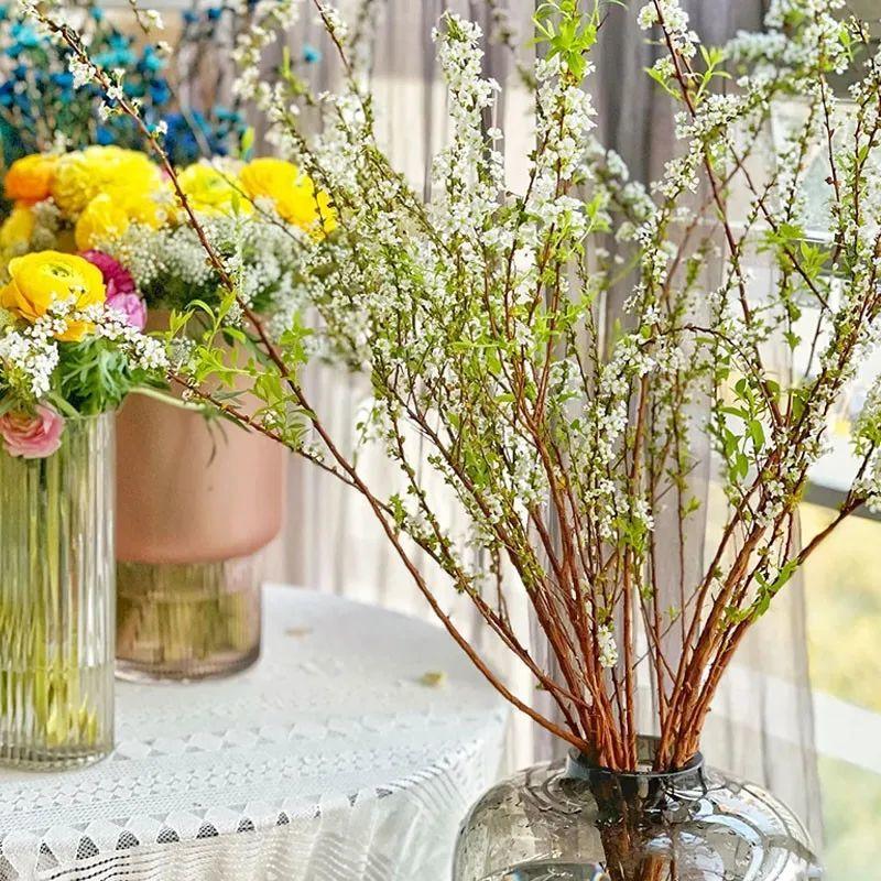 1种花叫"雪柳",剪几根枝插水里,7天长叶,一个月开花,绝美