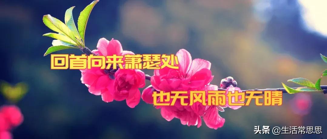 时光荏苒，回首来路已萧瑟，唯有岁月无声流转。