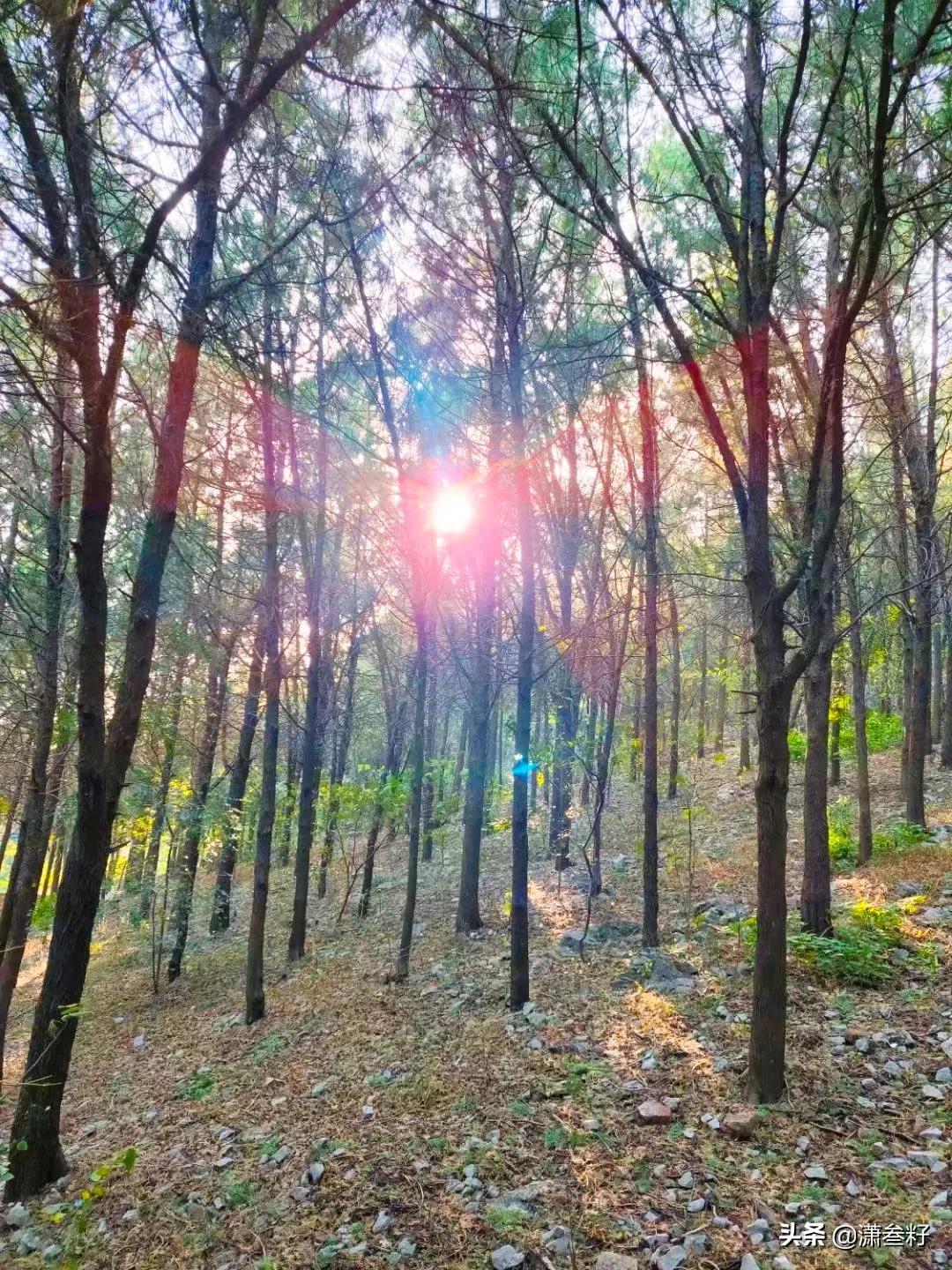 泰山奶奶庙，为何不在泰山