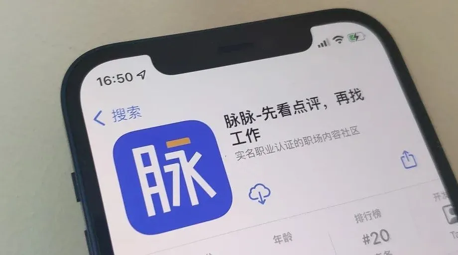 负能量爆棚的脉脉，“职场点评”有多大空间？