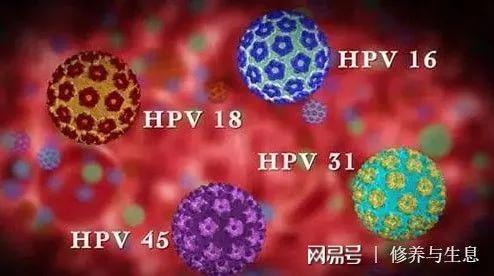 你对HPV疫苗知多少？