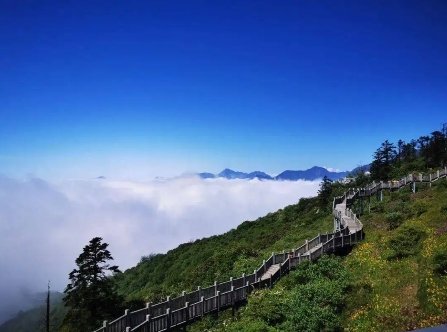 成都5個週末遊勝地:觀雲海賞星空,攝影愛好者的天堂