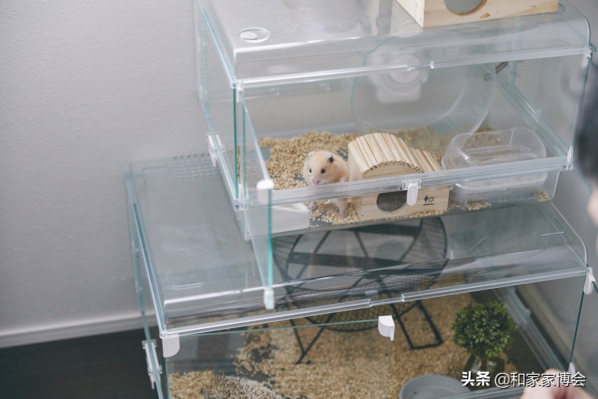 新婚夫妇的50㎡出租房改造 打造温馨小屋