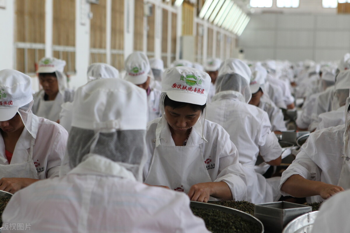 英国立顿第一，印度红茶第二，中国茶叶还要再落后几年？
