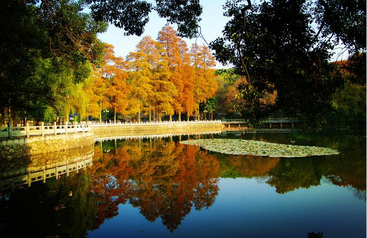 中国最好的学校（国内十大最美校园名单出炉）