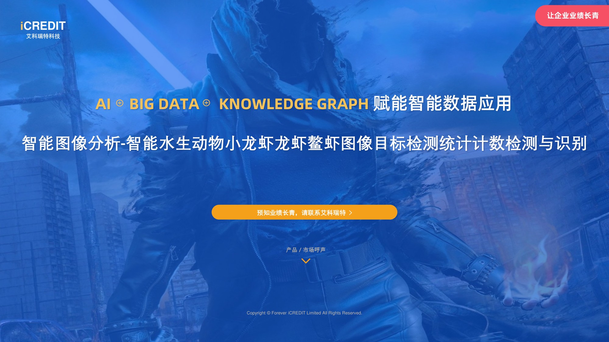 智能图像分析-智能水生动物小龙虾龙虾鳌虾图像目标-艾科瑞特科技