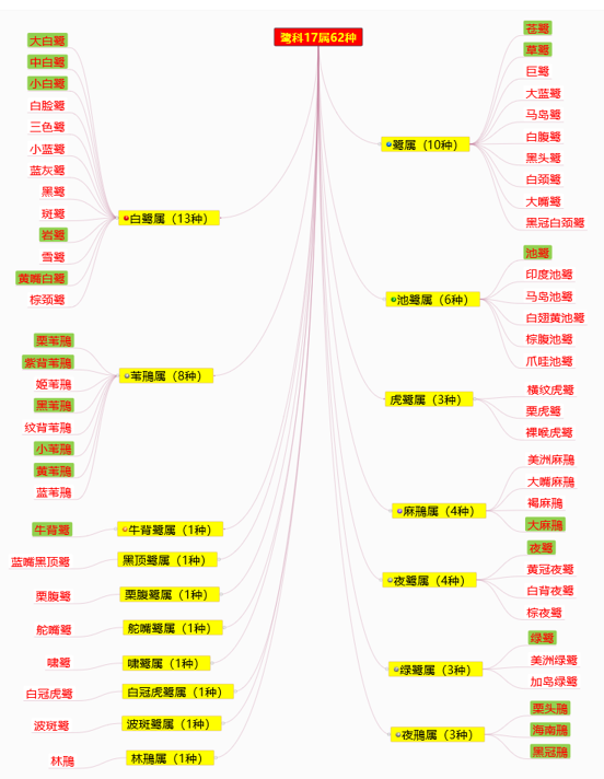 東江攬勝：天天相見(jiàn)不相識(shí)，和我一起認(rèn)識(shí)鷺科鳥(niǎo)的分類(lèi)與識(shí)別方法