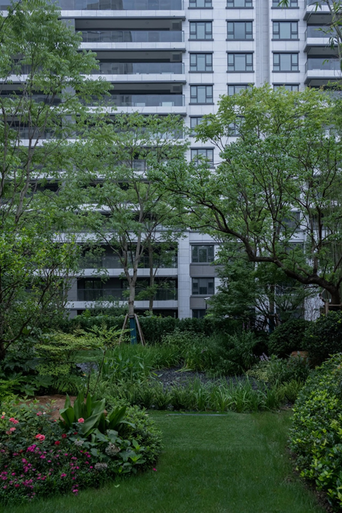 世界水日｜江苏旭辉社区海绵实践分享