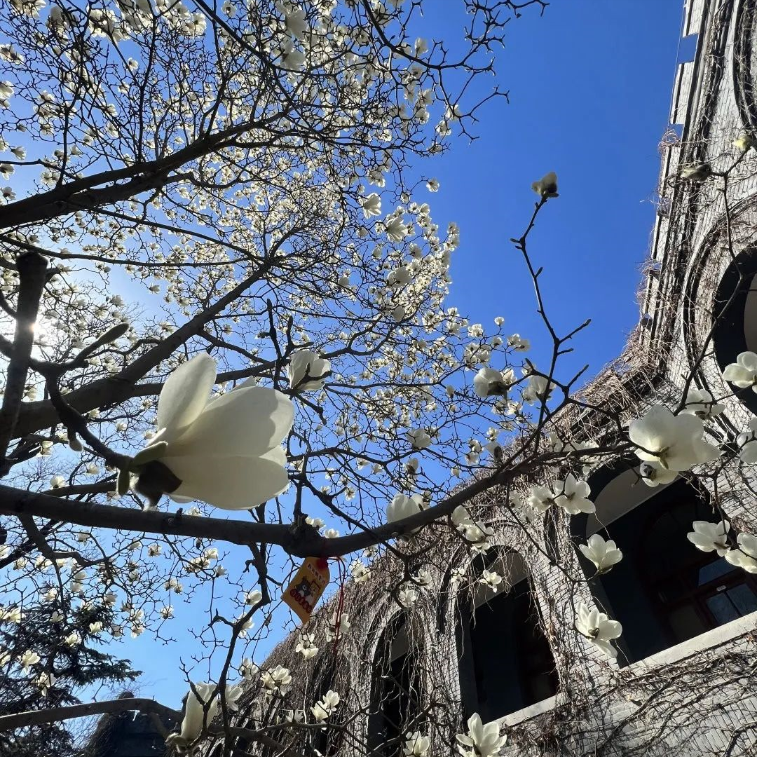 高中生提升心理健康有哪些方法？潞河国际学生告诉你