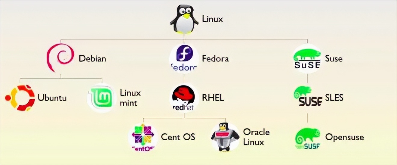 为什么国产操作系统，都基于linux修改，不全面自研？