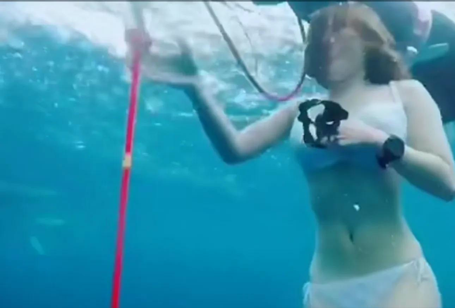 2020年，大学生刘安在天门山翼装飞行时遇难，这项极限运动值得吗