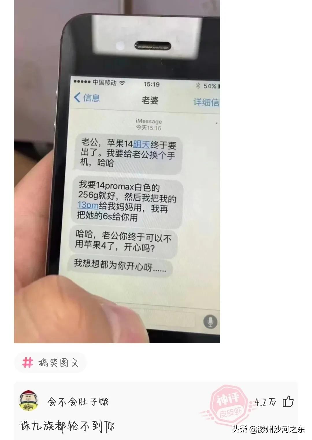 神回复：汪汪队集体病假，有事不要呼叫莱德