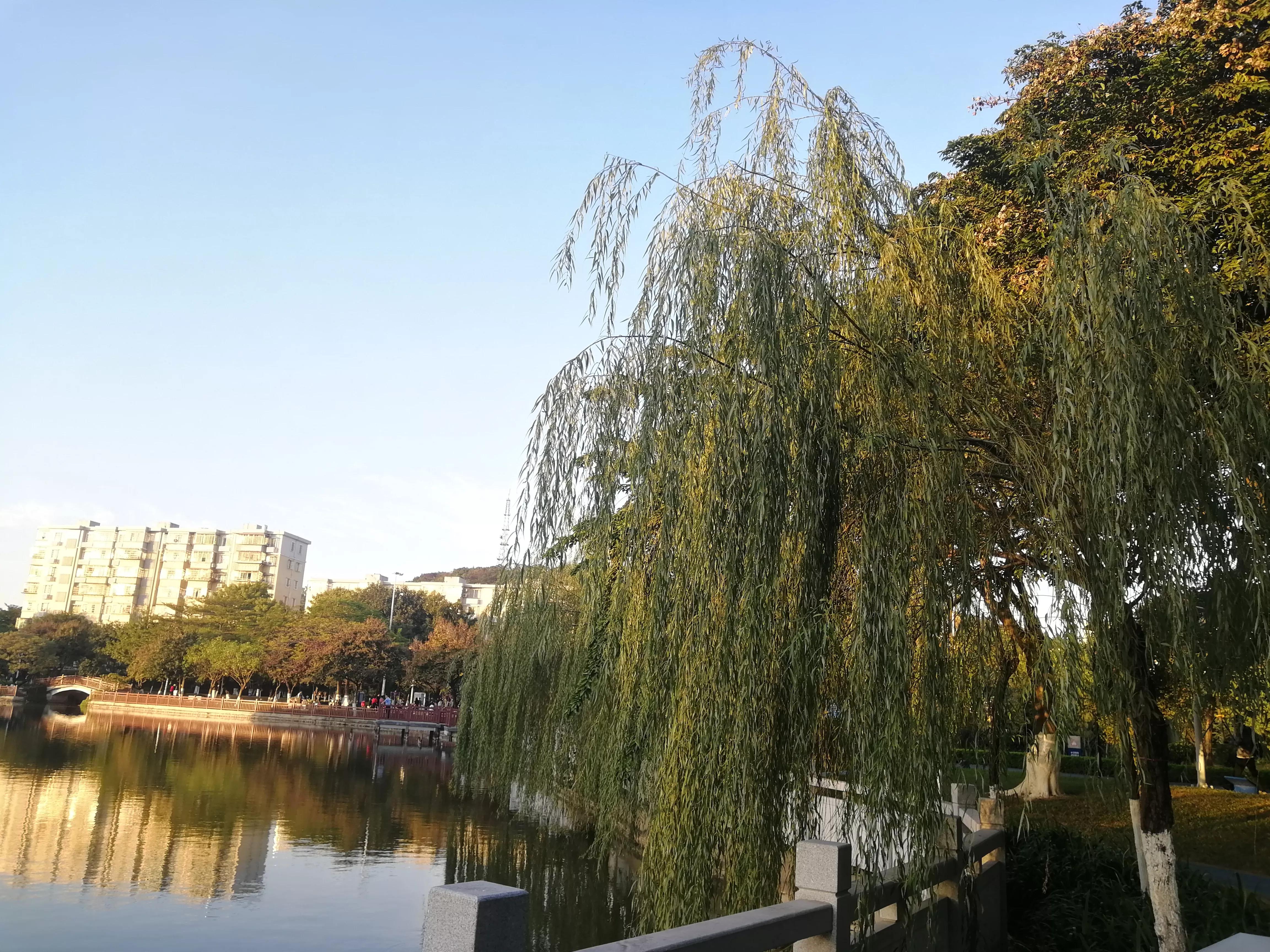 地铁4号线大学城周边游玩攻略，领悟独一无二的长洲岛景象（D篇）