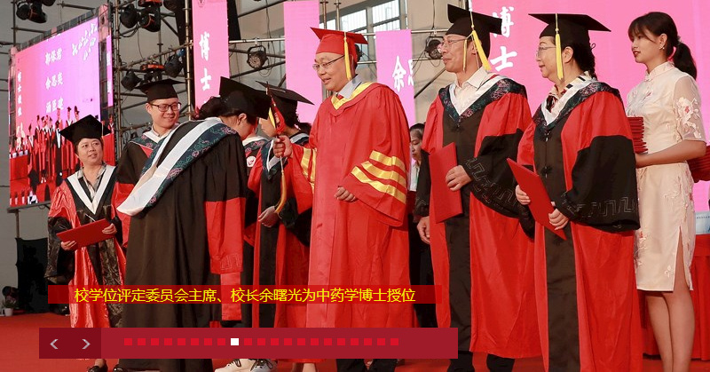 考研倒计时丨中药学硕士迎来高光时刻？四川热门高校有哪些？