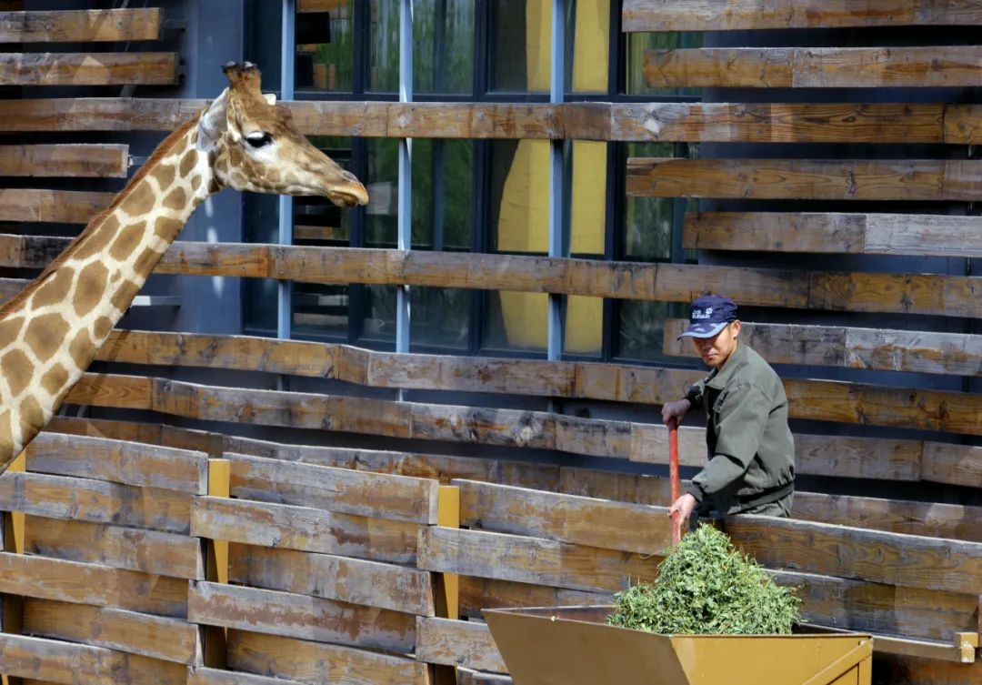 线上展览|“劳动最光荣”主题摄影作品线上图片展（十三）