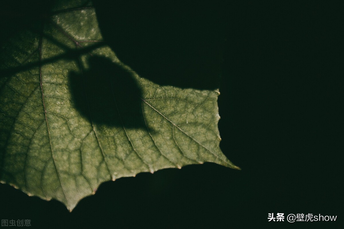 带你欣赏简短有深意的文案