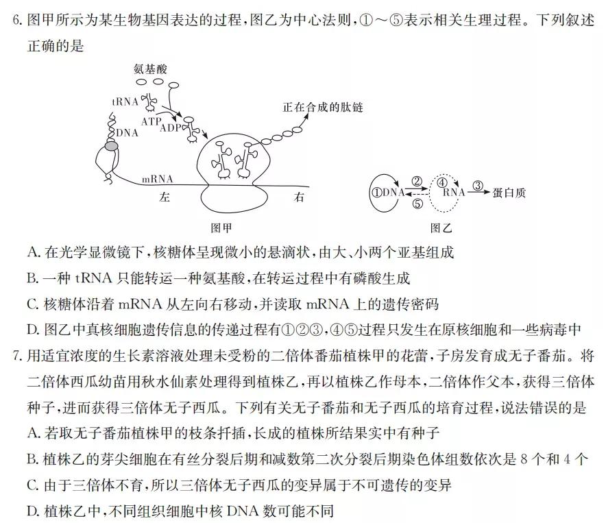 2022届八省高三第一次联考生物学试题（含答案）