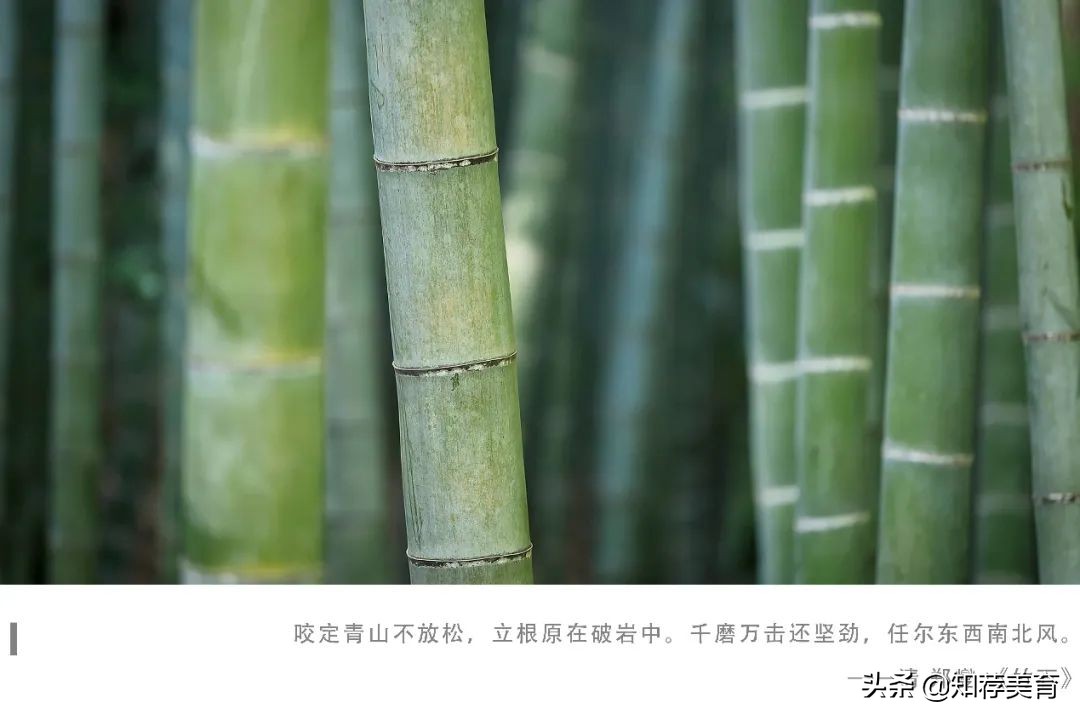 君子应该具有的精神品质