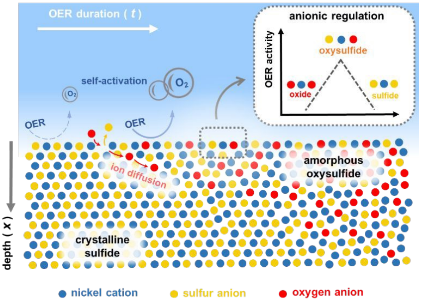 张强/李博权等团队最新Energy Environ. Sci.