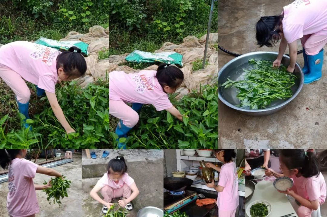 以劳动之名 收获成长之乐｜新兴小学开展“小农夫”劳动教育课程