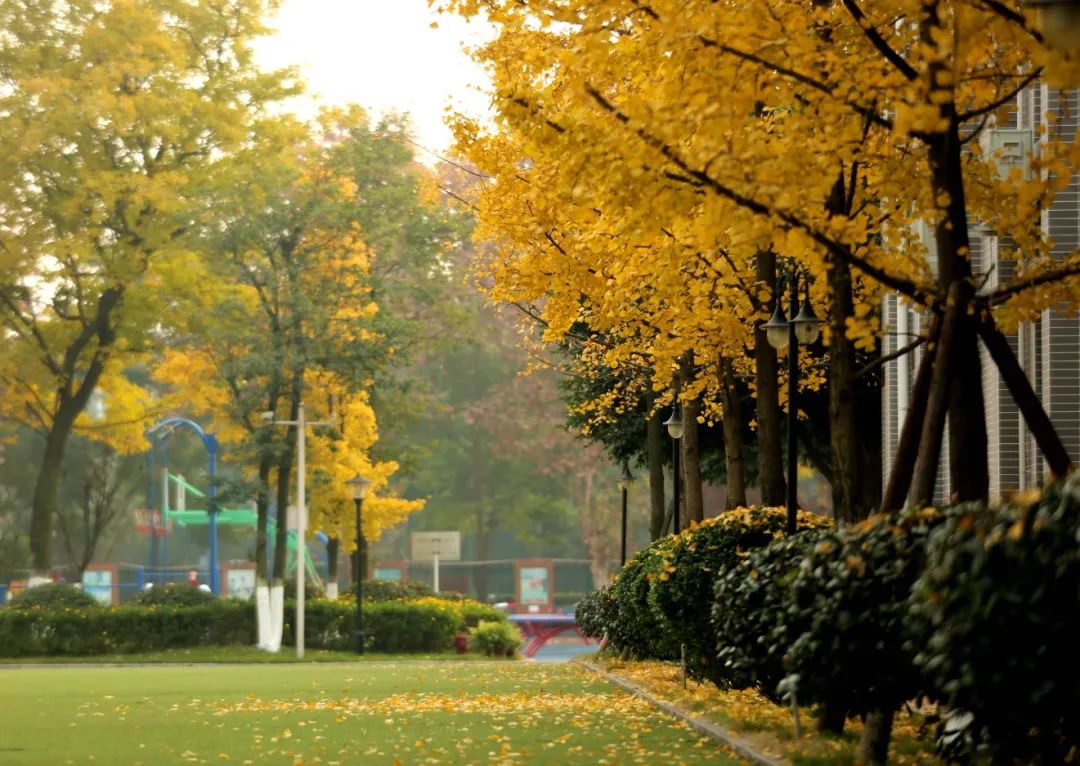 期待，锦小与你的美好相遇｜四川天府新区锦江小学欢迎各位新同学