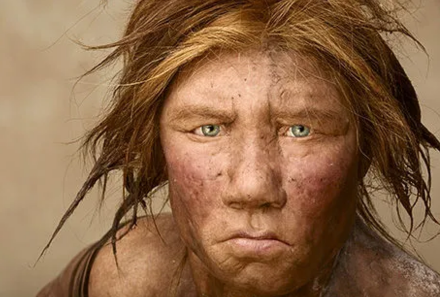 226,000年前，谁留在谁留在Aomi西藏西藏帕萨的小组？