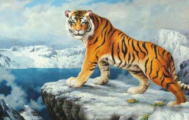 其他三个弟弟分别占居了华南,西北和西南的高山.