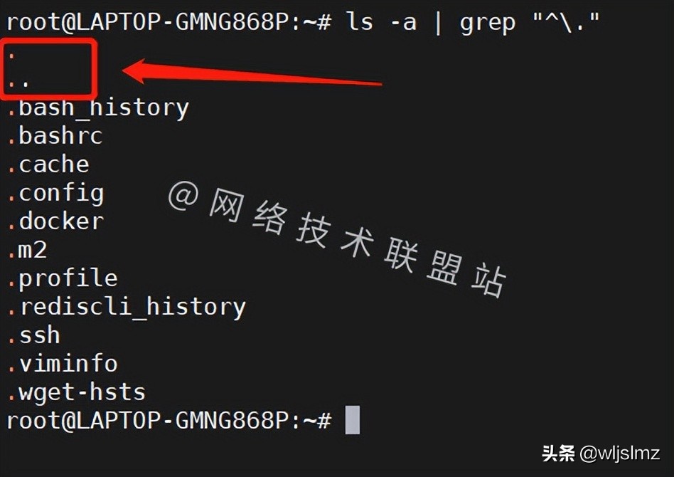 想要在Linux中只显示隐藏文件，用对ls就可以实现