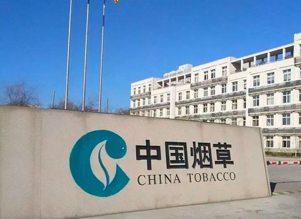 “中国烟草”青睐的专业，缺口大且就业率高，薪资待遇也比较不错