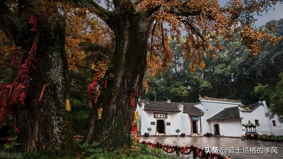 湖北这么大，旅居养老就到这三座城