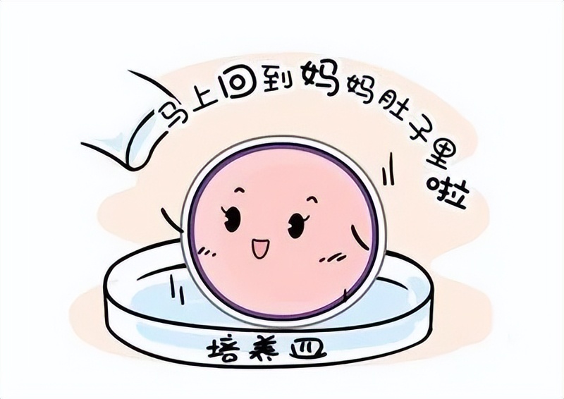 「疾病科普」什么是胚胎移植术?