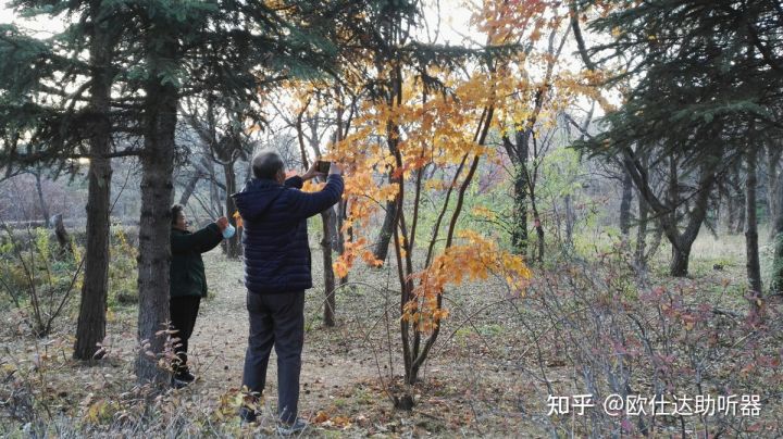 想给家里老人买个助听器，该怎么买呢？