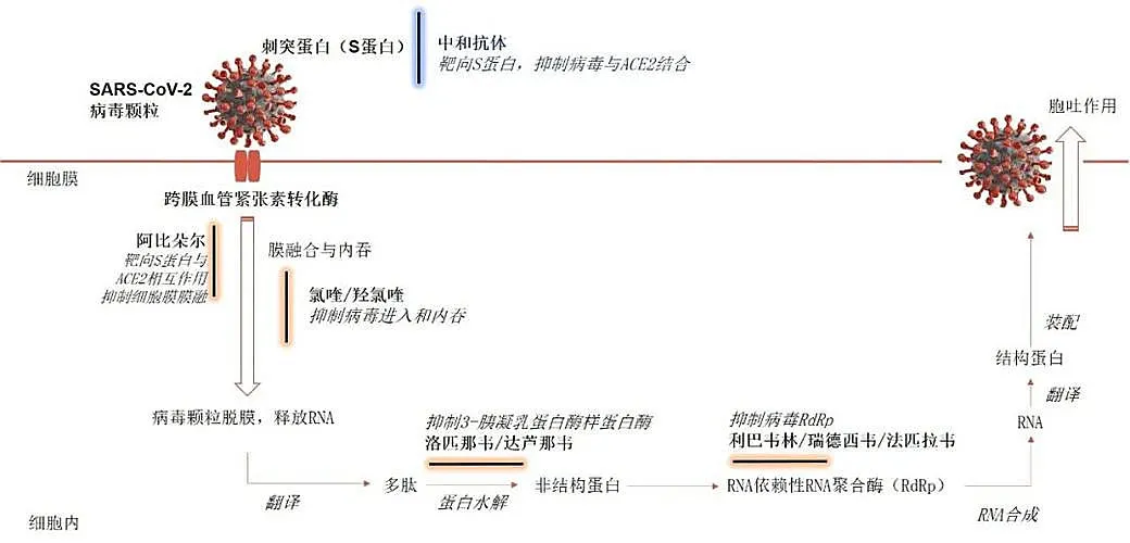 重磅！首个国产新冠救命药，来自这家冷门公司