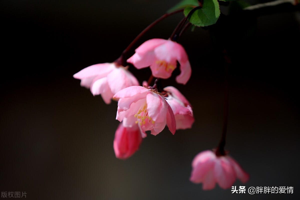 顺生而行，不沉迷过去，不狂热地期待未来，生命这样就好