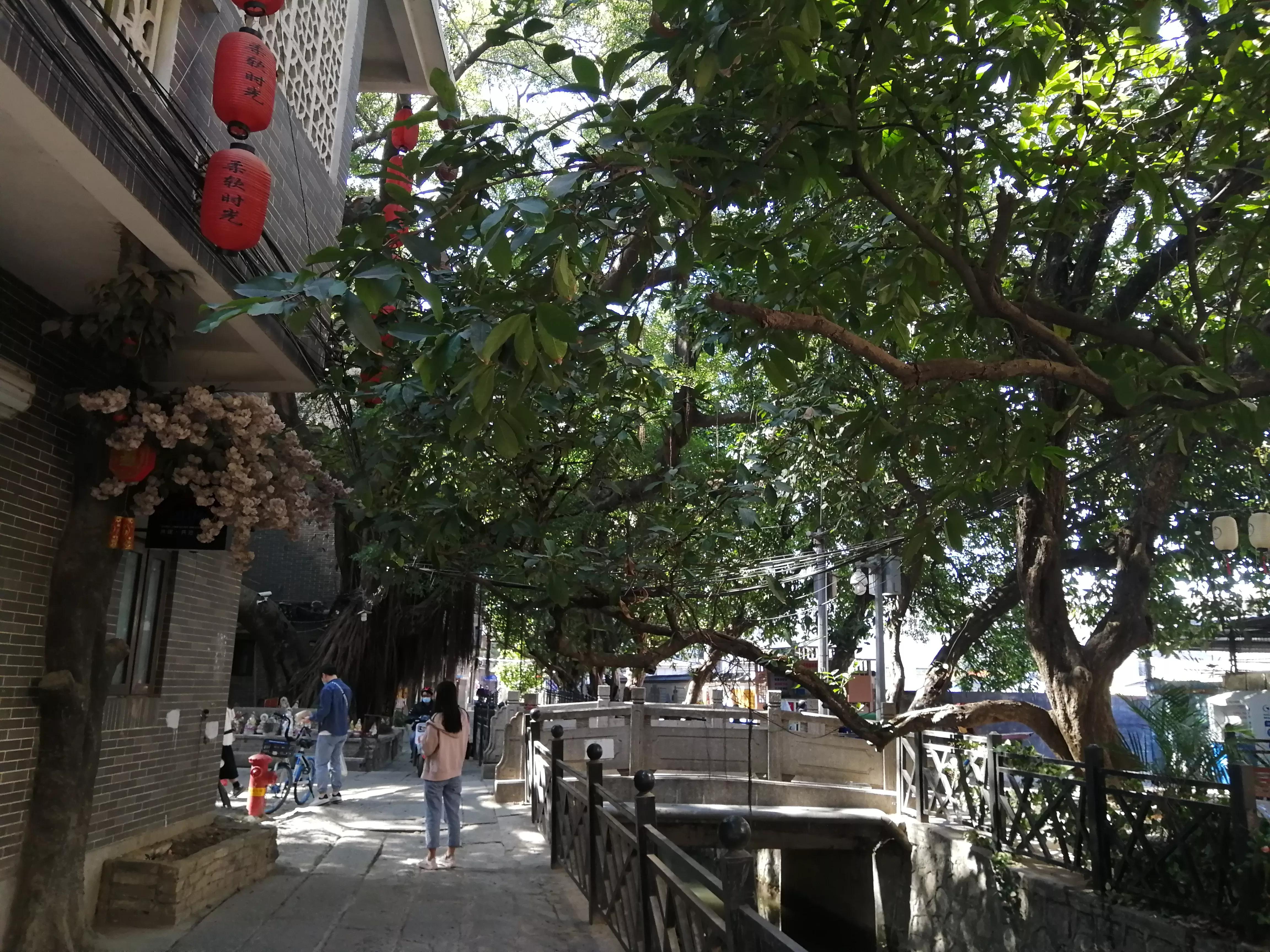 地铁4号线大学城游玩攻略，领略那不一样的广州大学城风光（C篇）