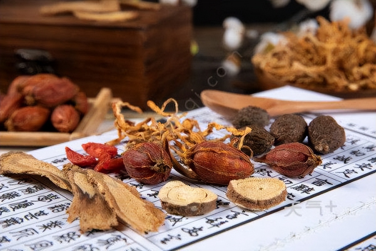 中药专业怎么样？中药专业就是中药学吗？