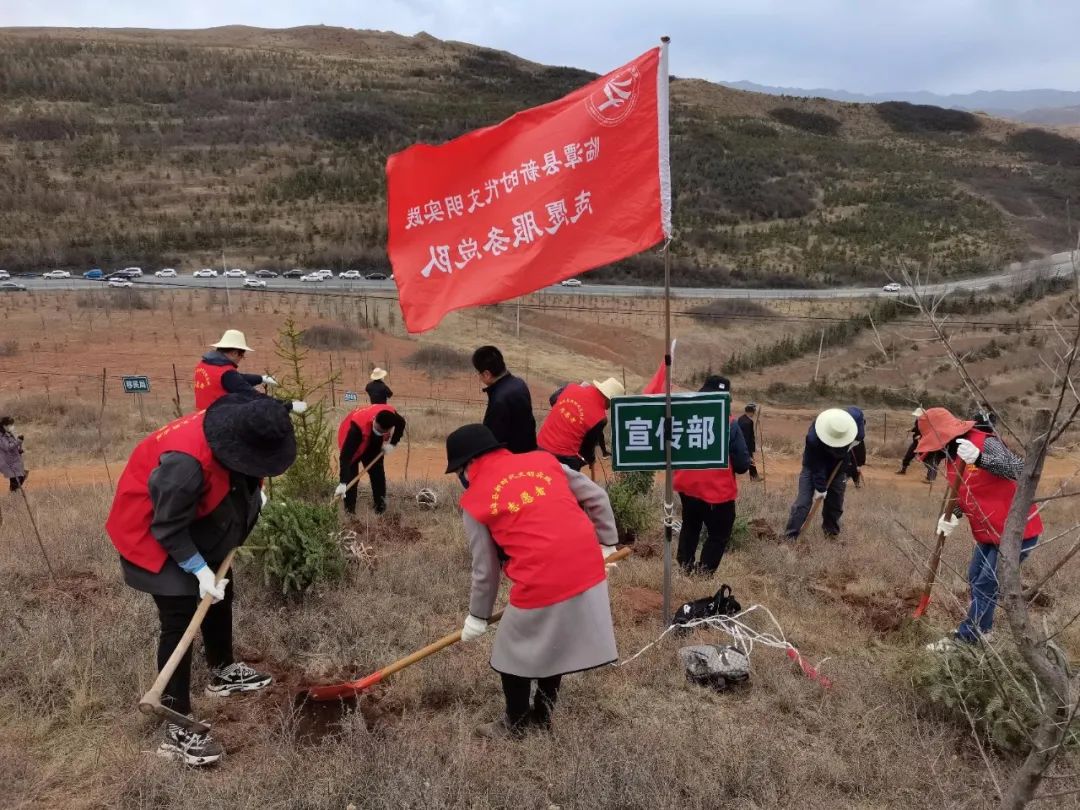 临潭县各乡镇各部门拉开春季义务植树序幕