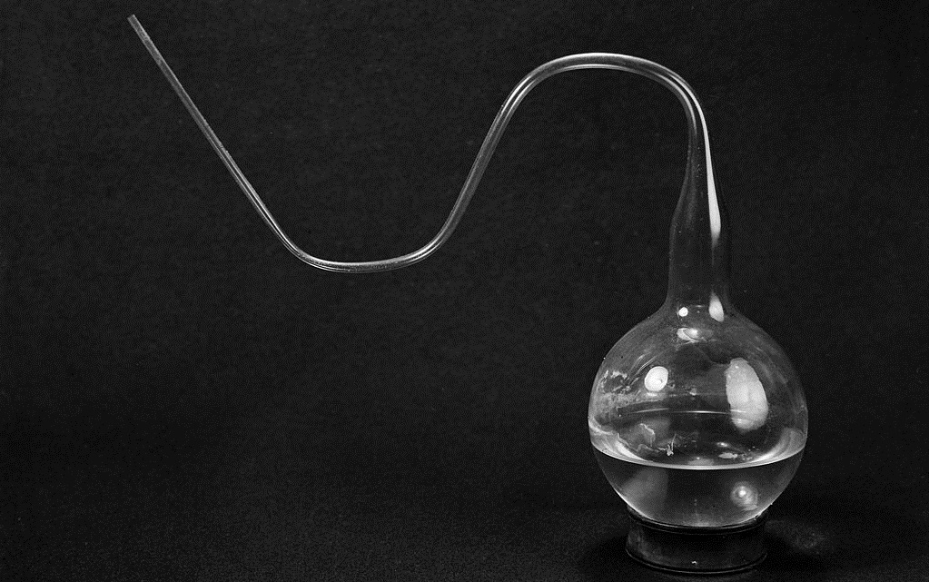 如果在山上挖一个池塘，不放鱼，里面会慢慢有鱼吗？