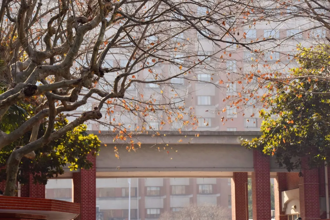 踏遍世界，只为寻你！诚邀海外优青加盟复旦！