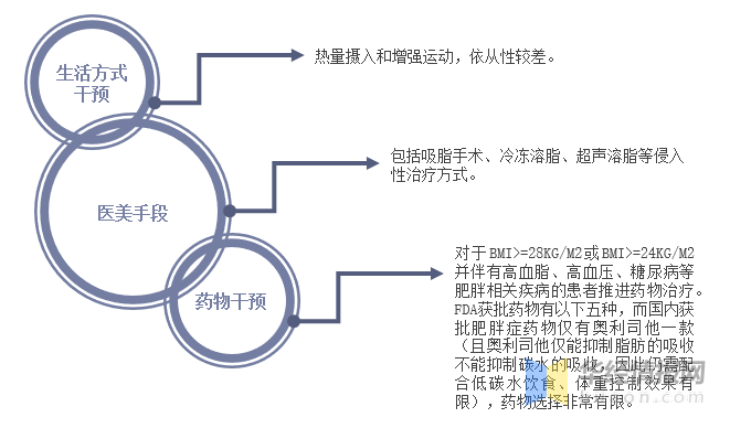 2020年中国体重管理行业现状，具有较高的成长潜力