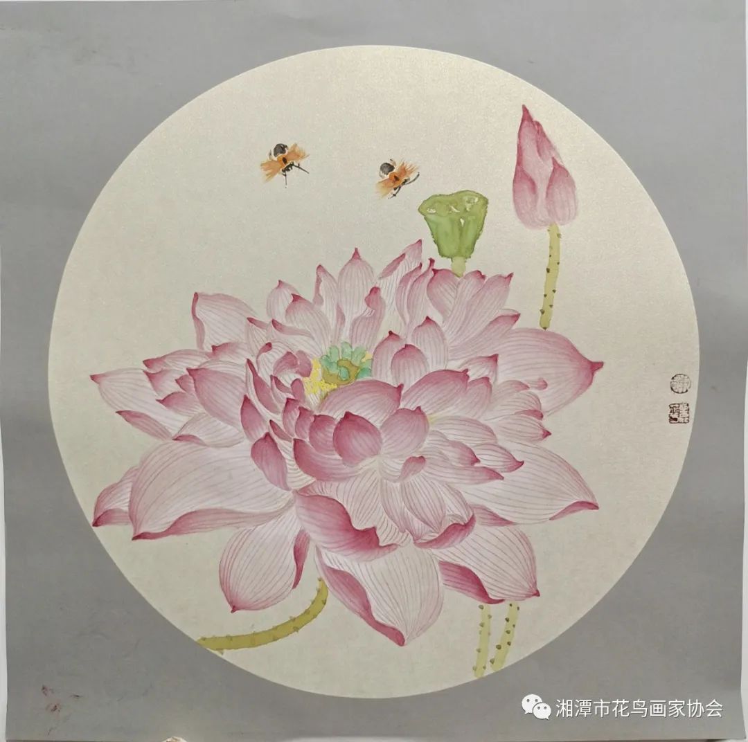 湘潭市花鸟画家协会盘龙大观园荷花写生活动圆满成功