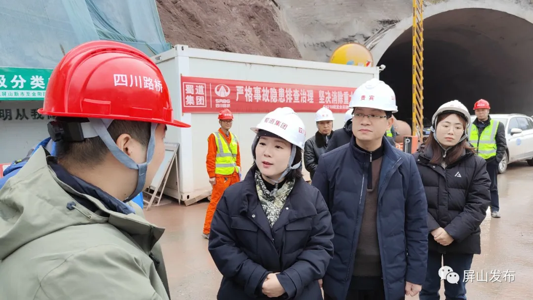 赵丹率队调研督导新市镇近期重点工作