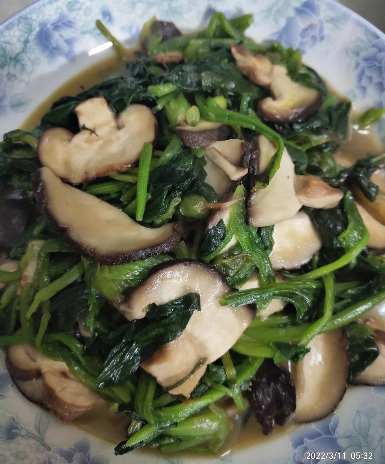 距高考88天 高三娃早饭吃的什么？有几个菜呢 好吃不？（简单 好学）